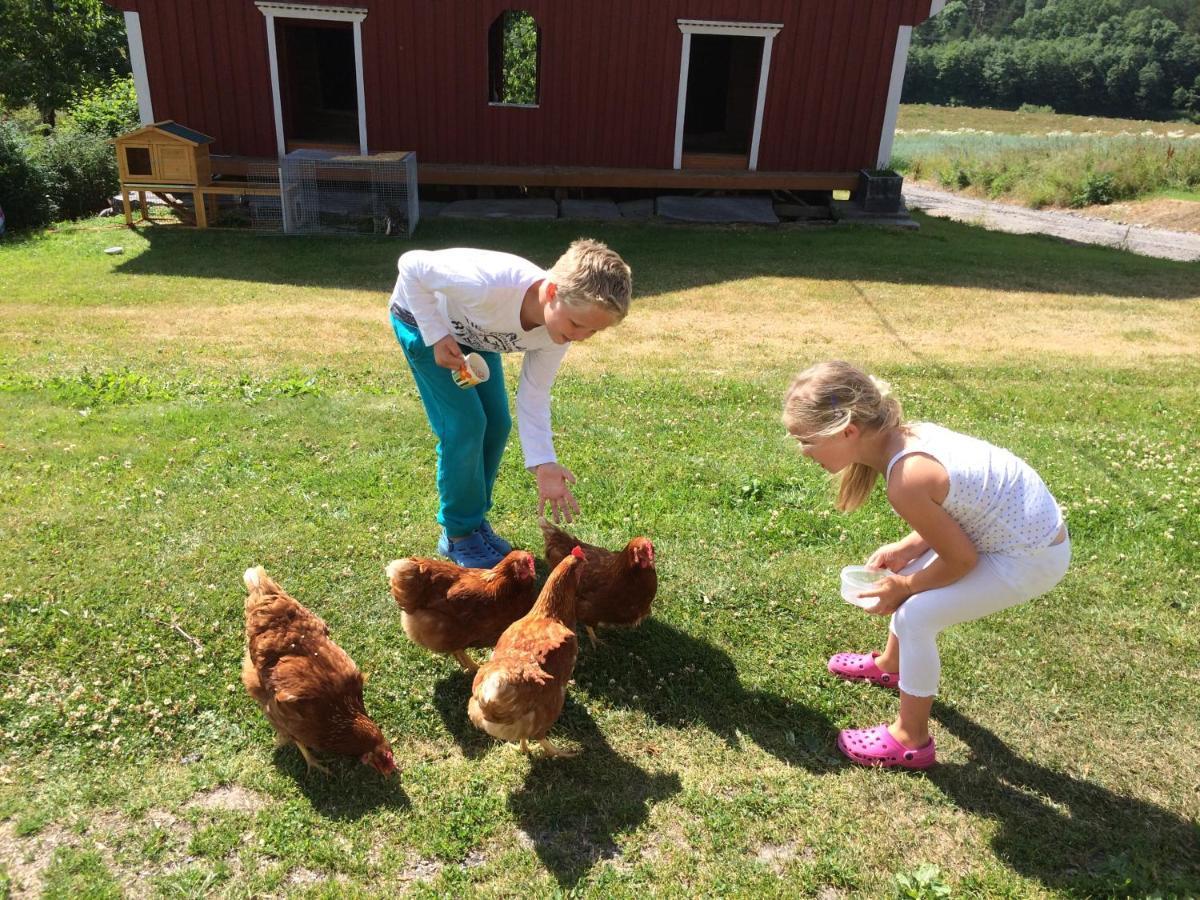 Gårdsturisme Sønstebø Hotel Bo (Telemark) Eksteriør billede
